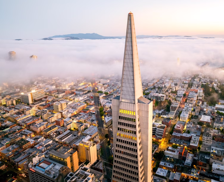 Insights on smarter workflows and modern efficiency daily