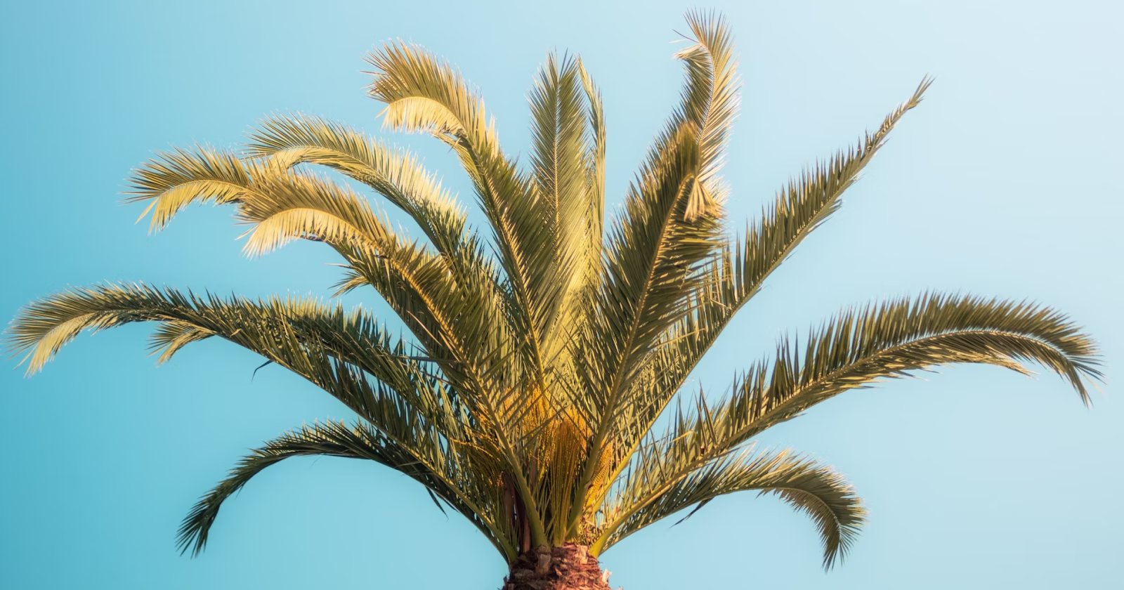 Exploring automation, intelligence, and the future of work ahead