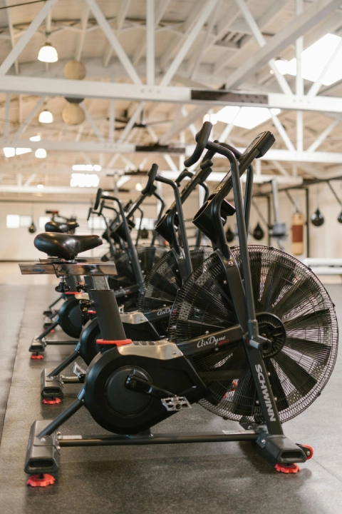 Lifestyle Performance