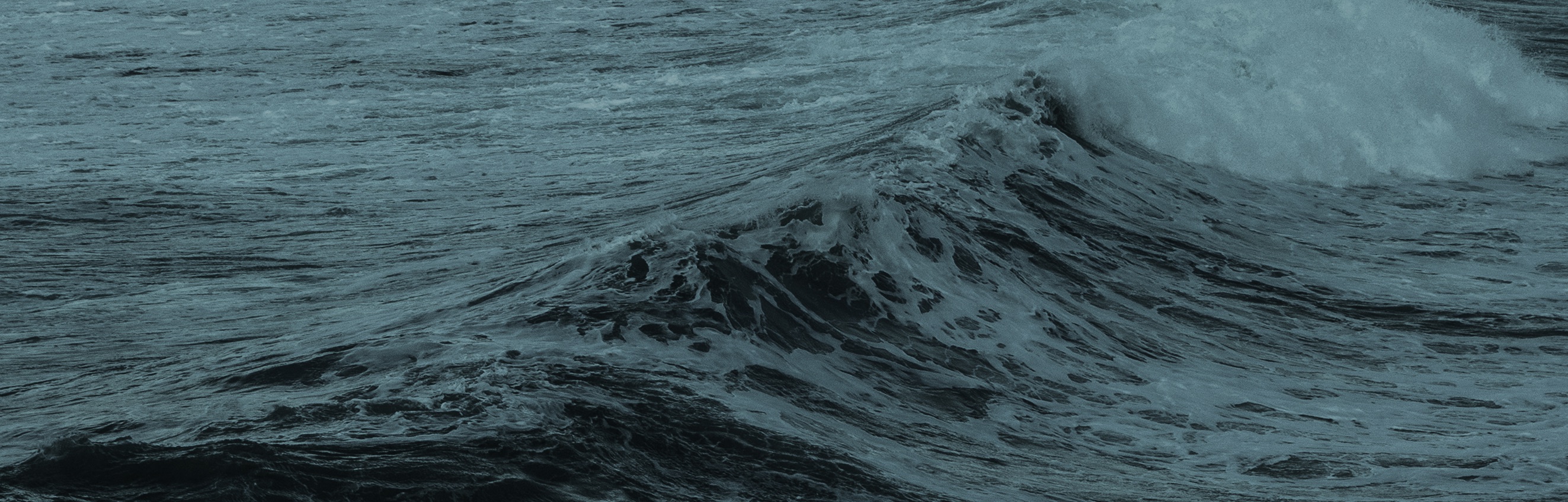 Close-up of dark ocean waves with white foam forming on the crest.