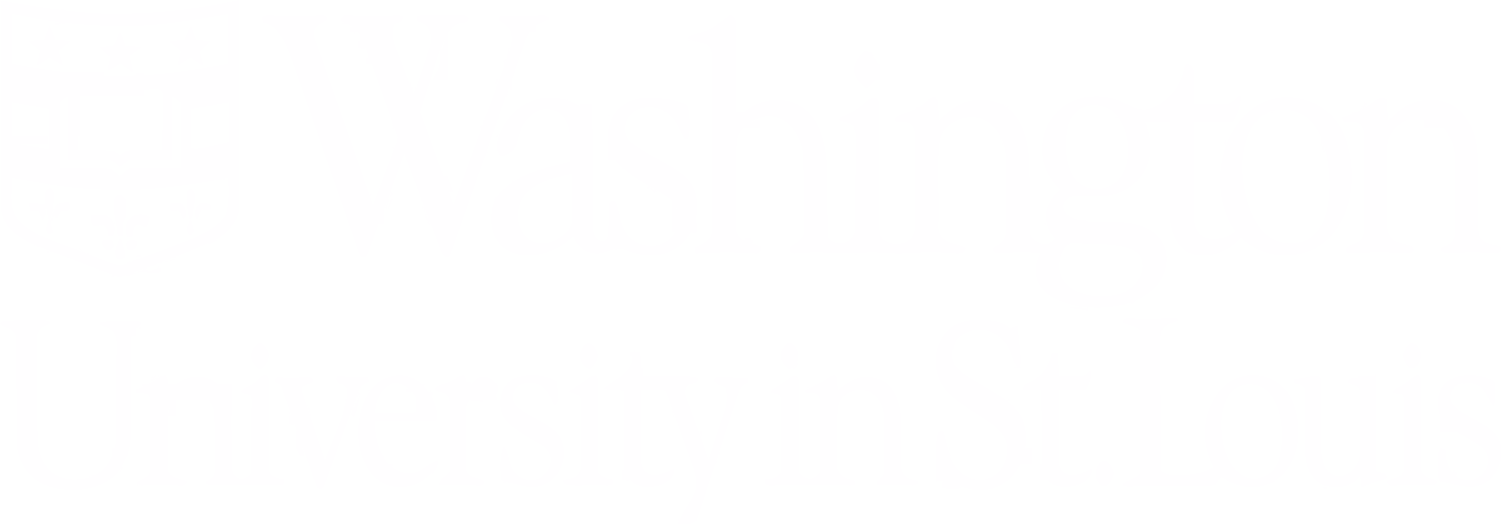 Washington University wordmark in blue serif font on white background.