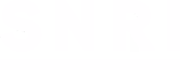 White capital letters S, N, R, and I on a black background.