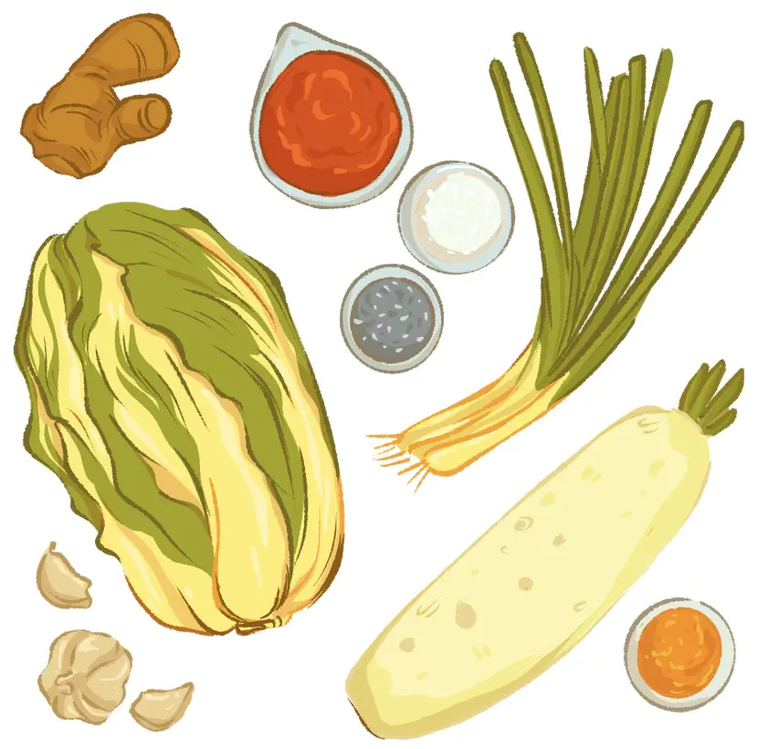  Illustration of common Chinese ingredients like ginger, scallions, chili paste, and Napa cabbage, used in authentic Chinese cuisine.