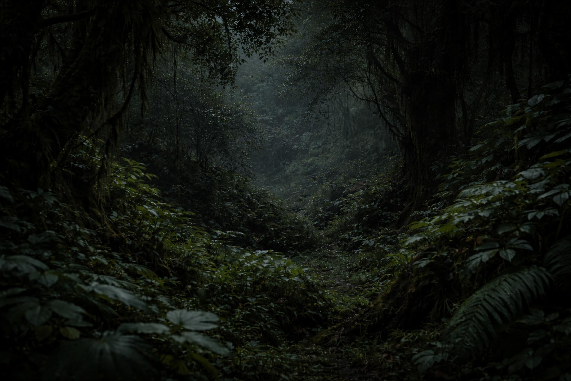 A misty and dark forest setting.