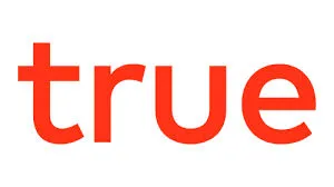 True Search