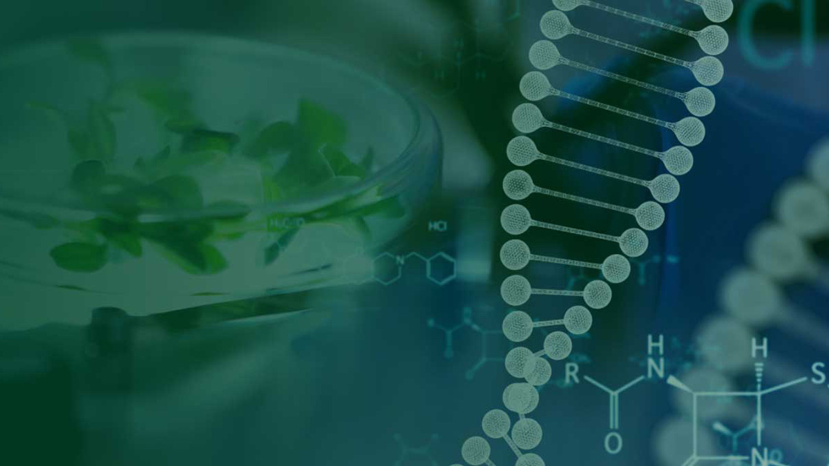 abstract blue and grey image