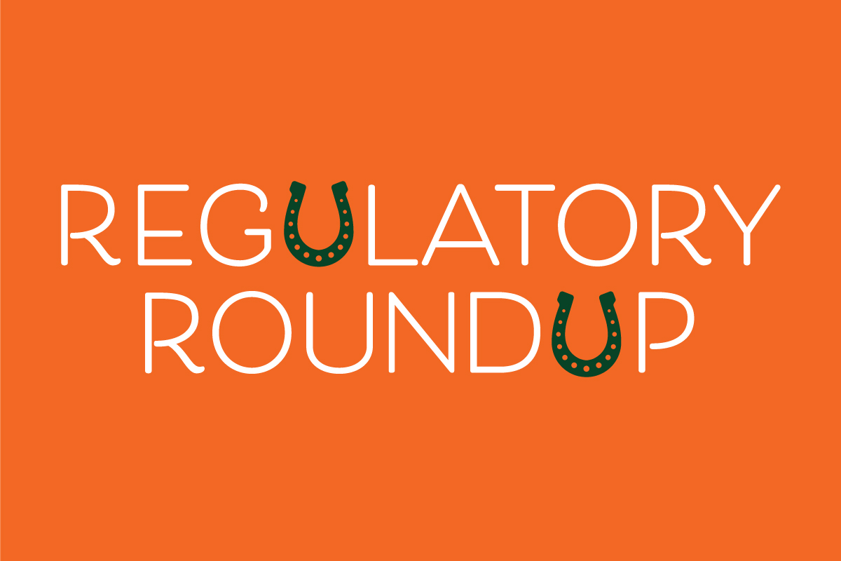 Regulatory Roundup visual in DHC orange