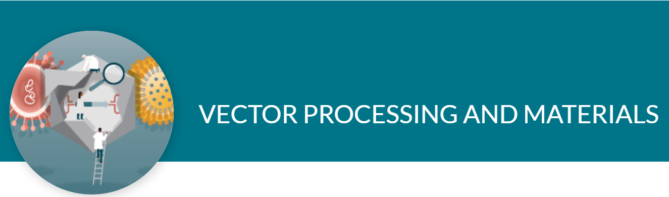Vector Processing and Material through CGT Insights