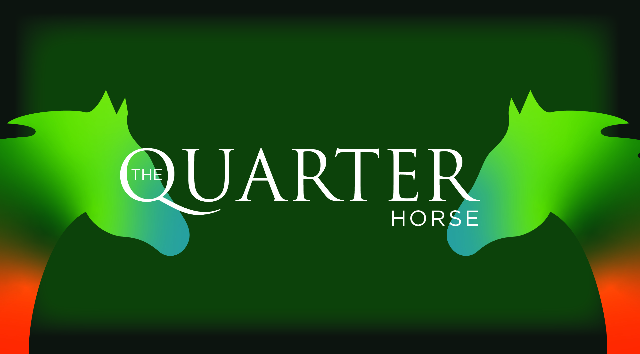 The Quarter Horse: DHCG's quarterly newsletter