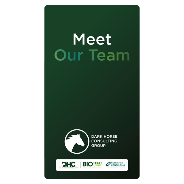 Consulting team booklet cover with horse