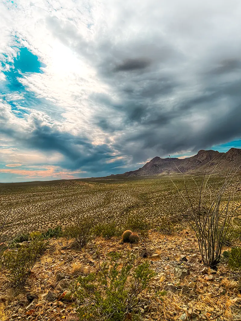 Desert mountain brush landscape