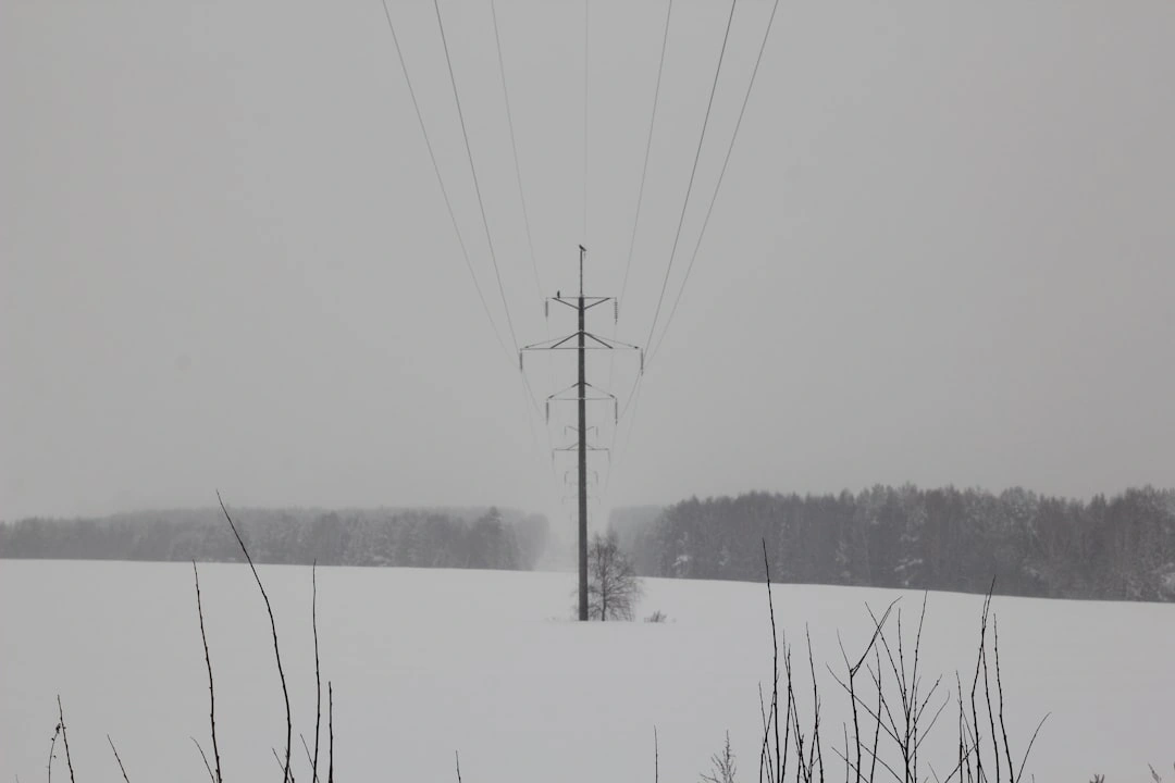 ice covered power lines sagging heavily after a winter storm in Metro Detroit