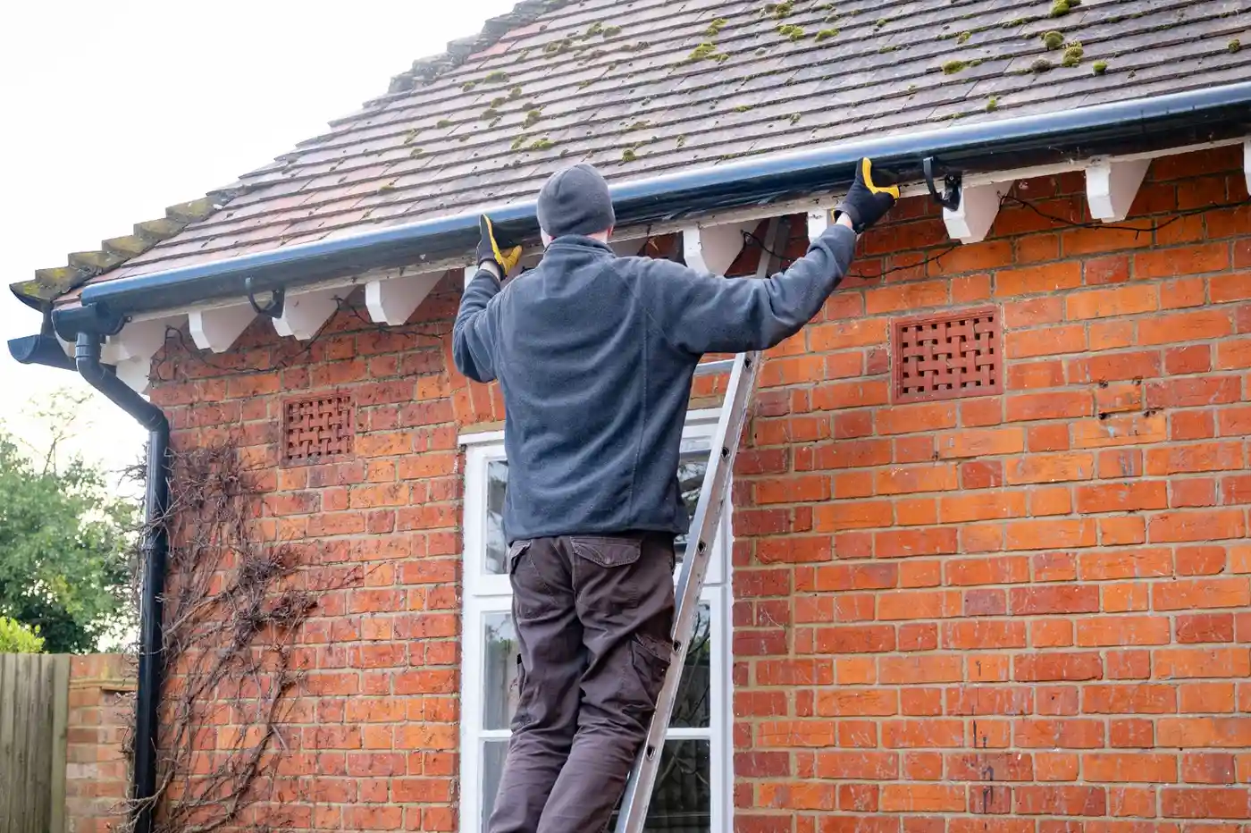A worker on a ladder performs gutter services by inspecting the black rain gutters of a red brick house.