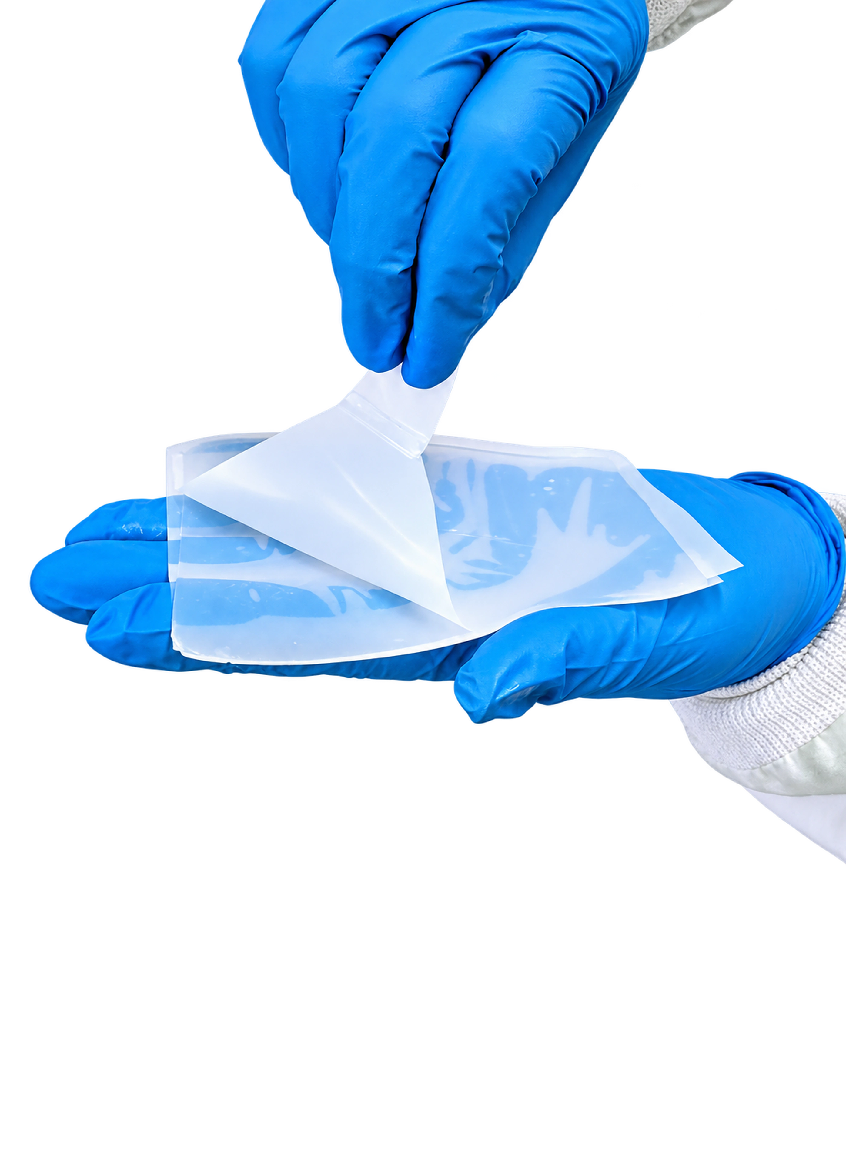 Gloved hands lifting a DermiSphere hDRT template from its tray