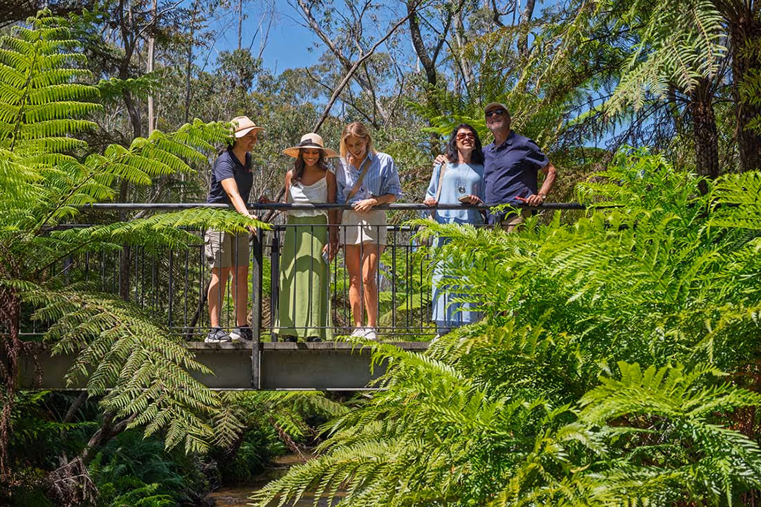Five people standing on a small metal bridge surrounded by lush green ferns and trees under a clear blue sky.