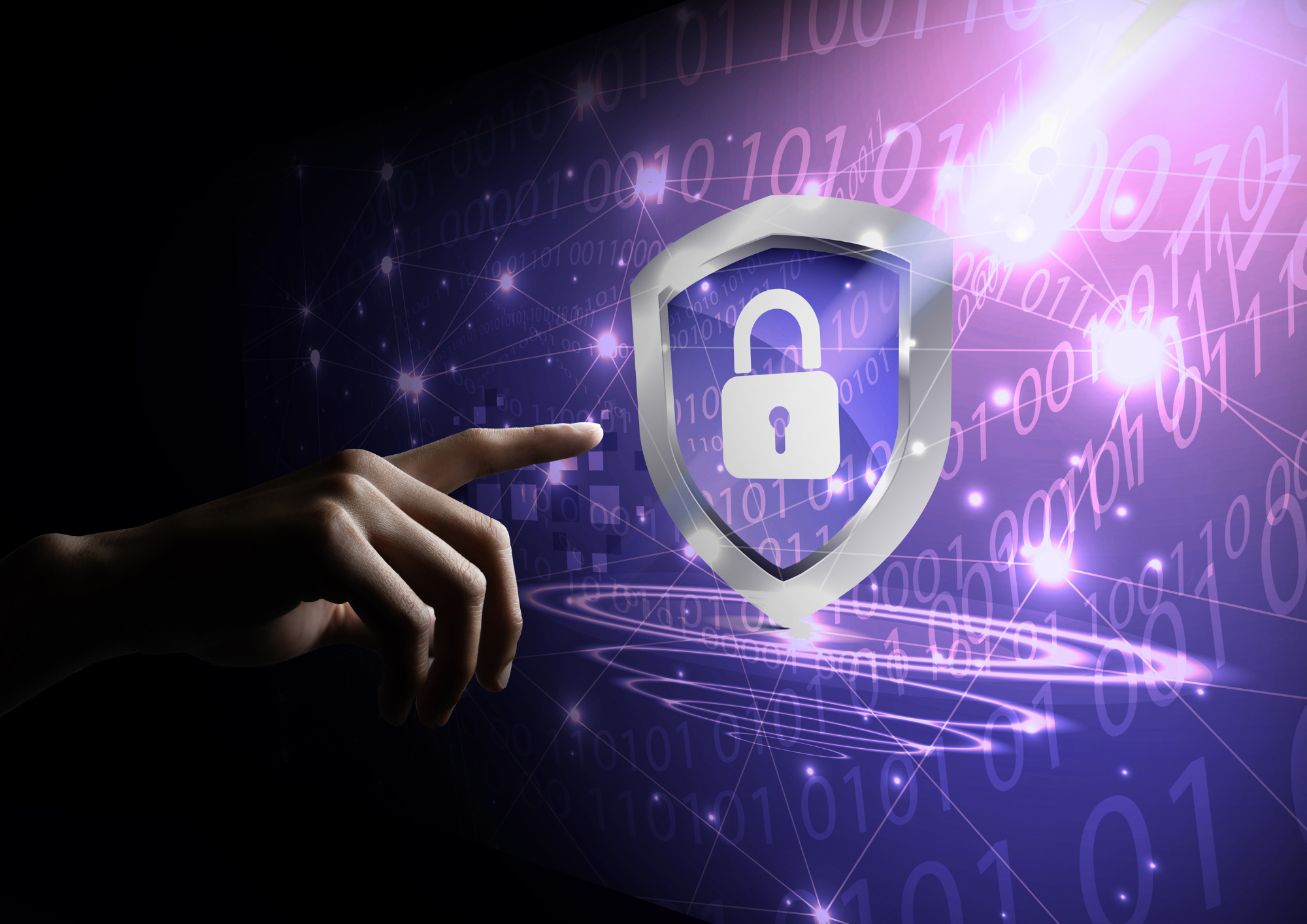 Privacy & Data Protection