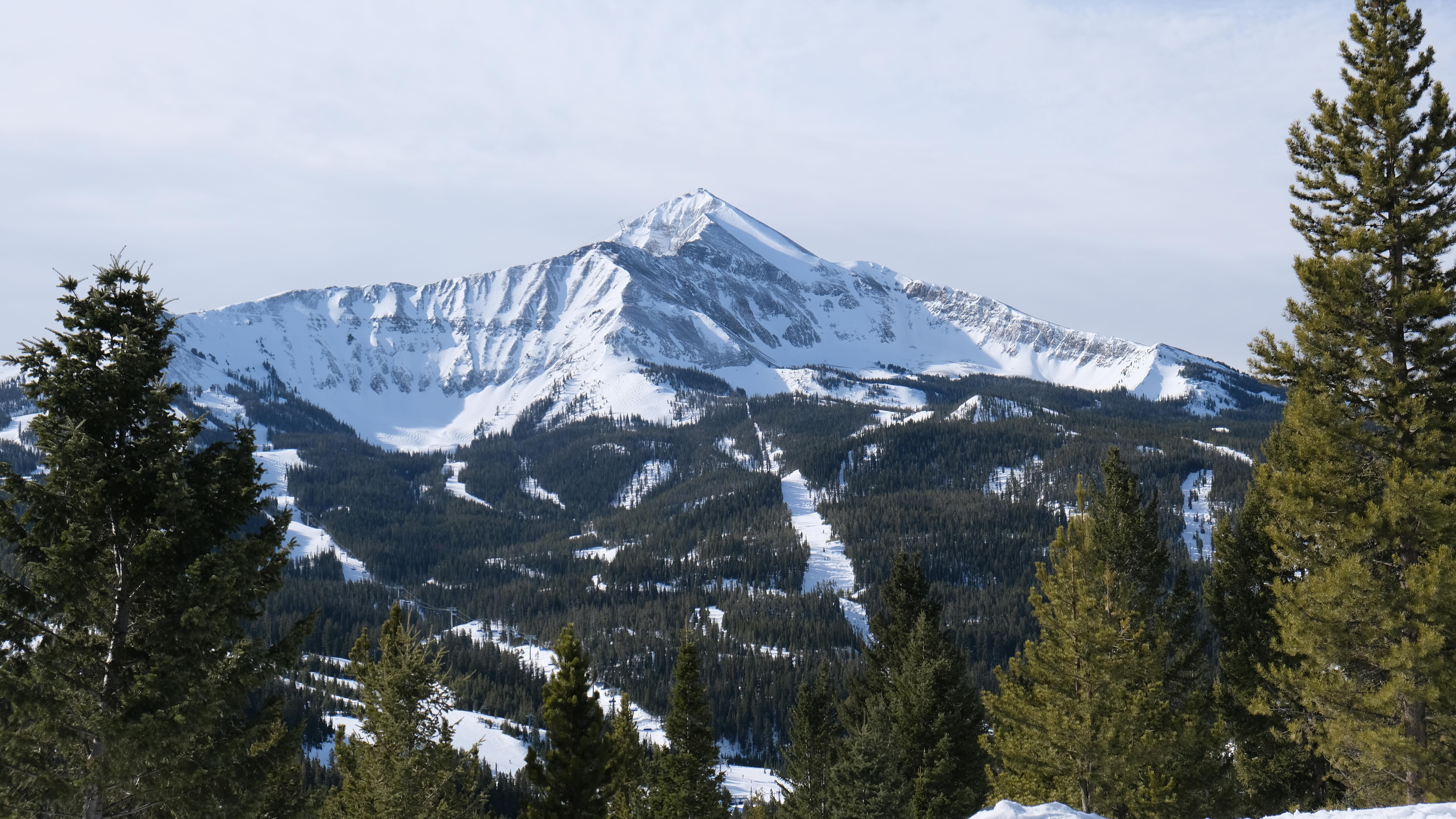 image of live music performance (for a bars & pub)