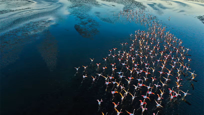 A focus on Integrating Sustainability across our Business Lines and Corporate Practices