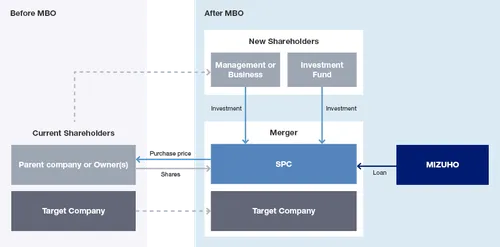 Structure of a typical MBO