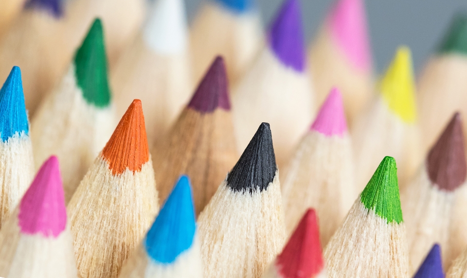 Inclusion & Diversity