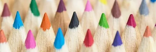 Inclusion & Diversity