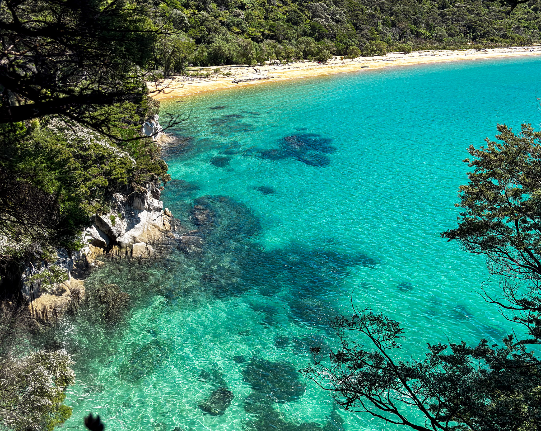 Abel Tasman: Moving with the Tide