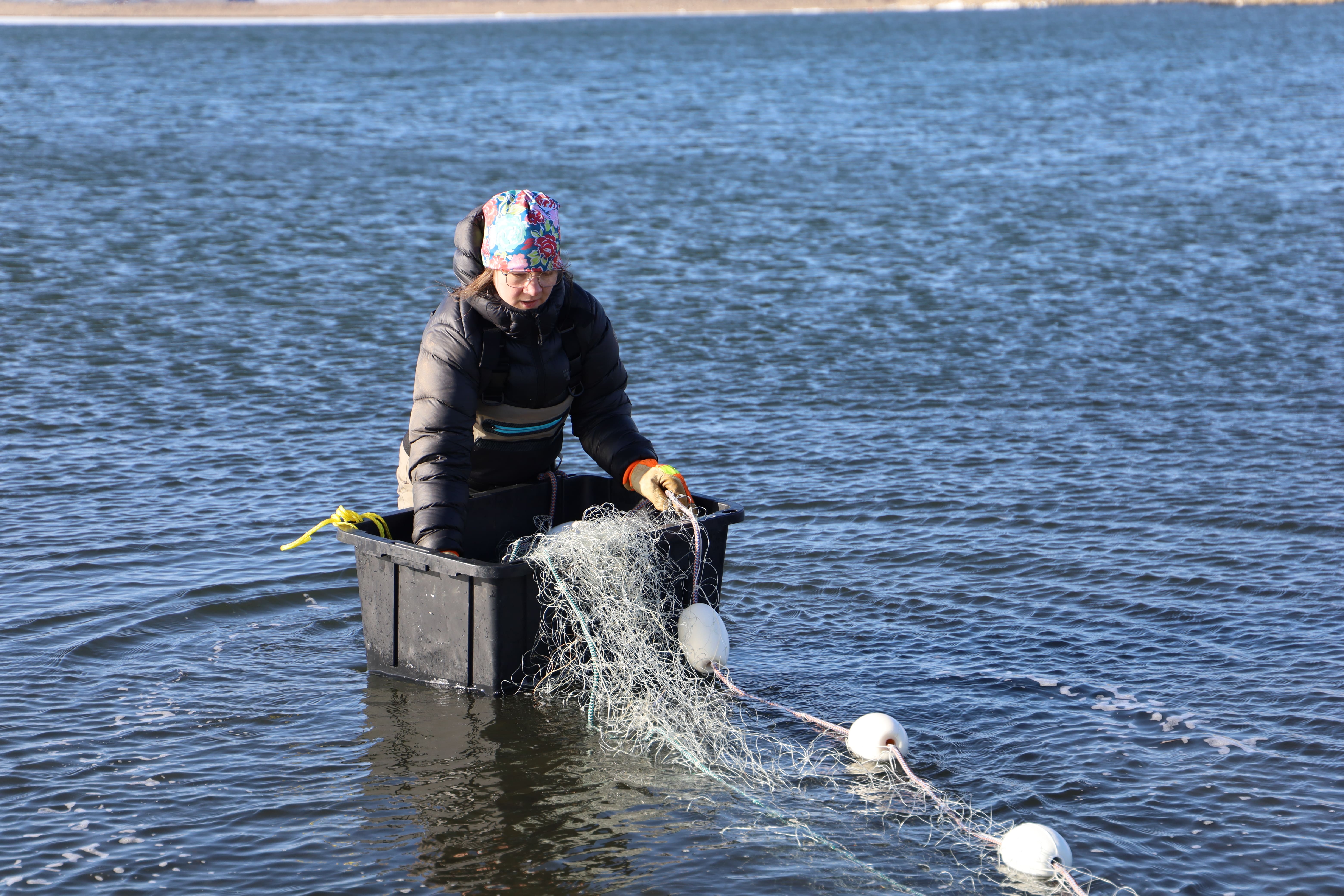 White and gray seagull perched on a rocky shoreline with blurred rocks and ocean waves in the background.