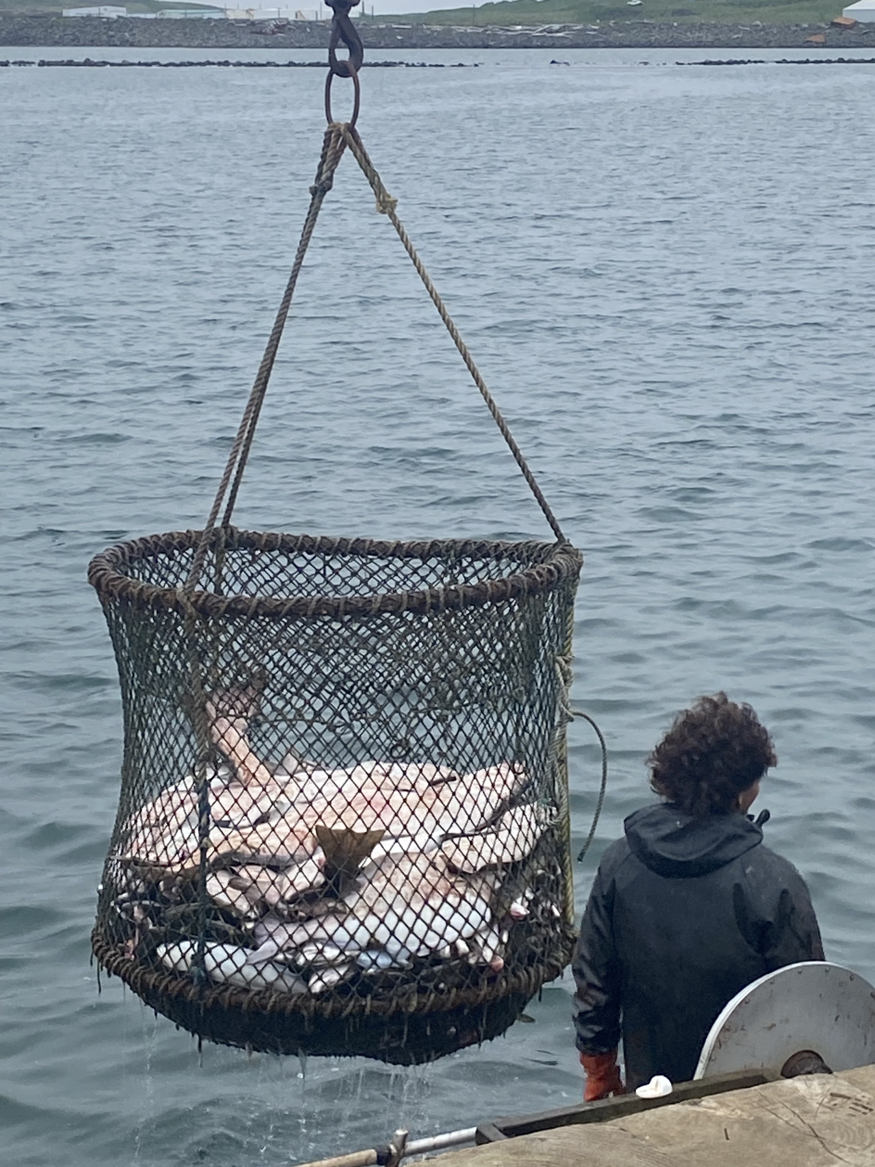 Two people wearing outdoor clothing using rods to sample water from a small stream surrounded by dry grass and patches of snow.
