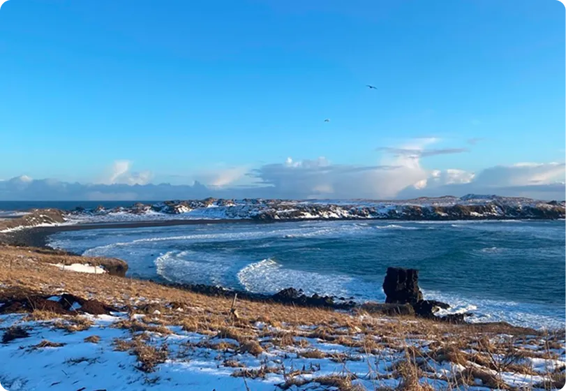 Snow-covered rocky shoreline with waves crashing into a curved bay under a clear blue sky with scattered clouds and two birds flying.