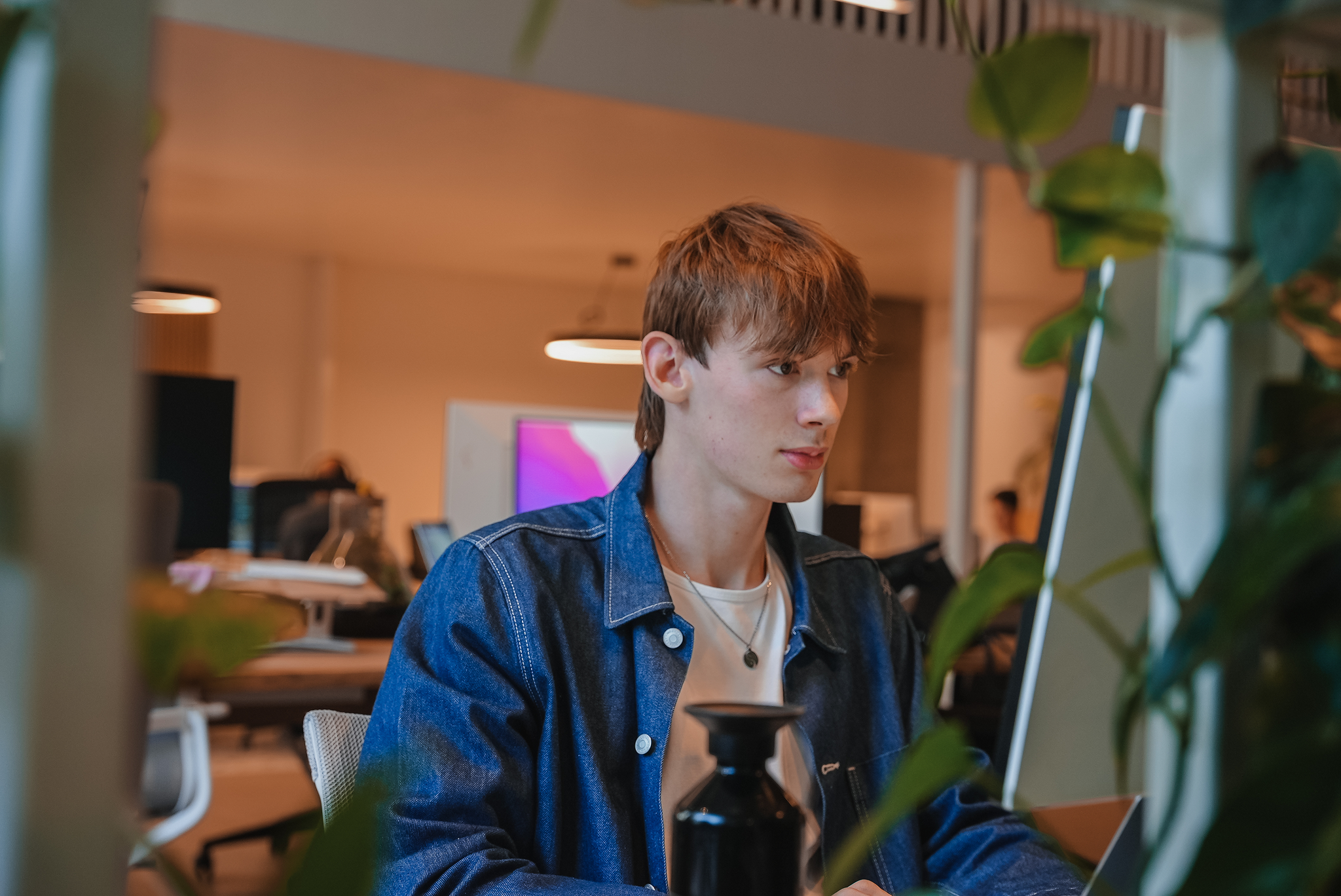 Young man in a denim jacket working at a desk in an office with plants in the foreground.