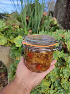 Achards lacto-fermentés de chanterelles grises