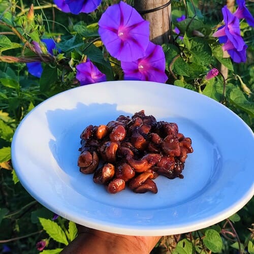 Ail lacto-fermenté au miel cru