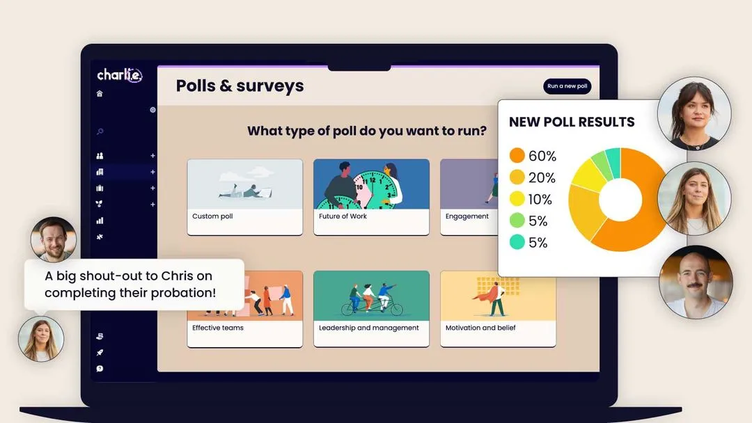 Charlie engagement polls dashboard