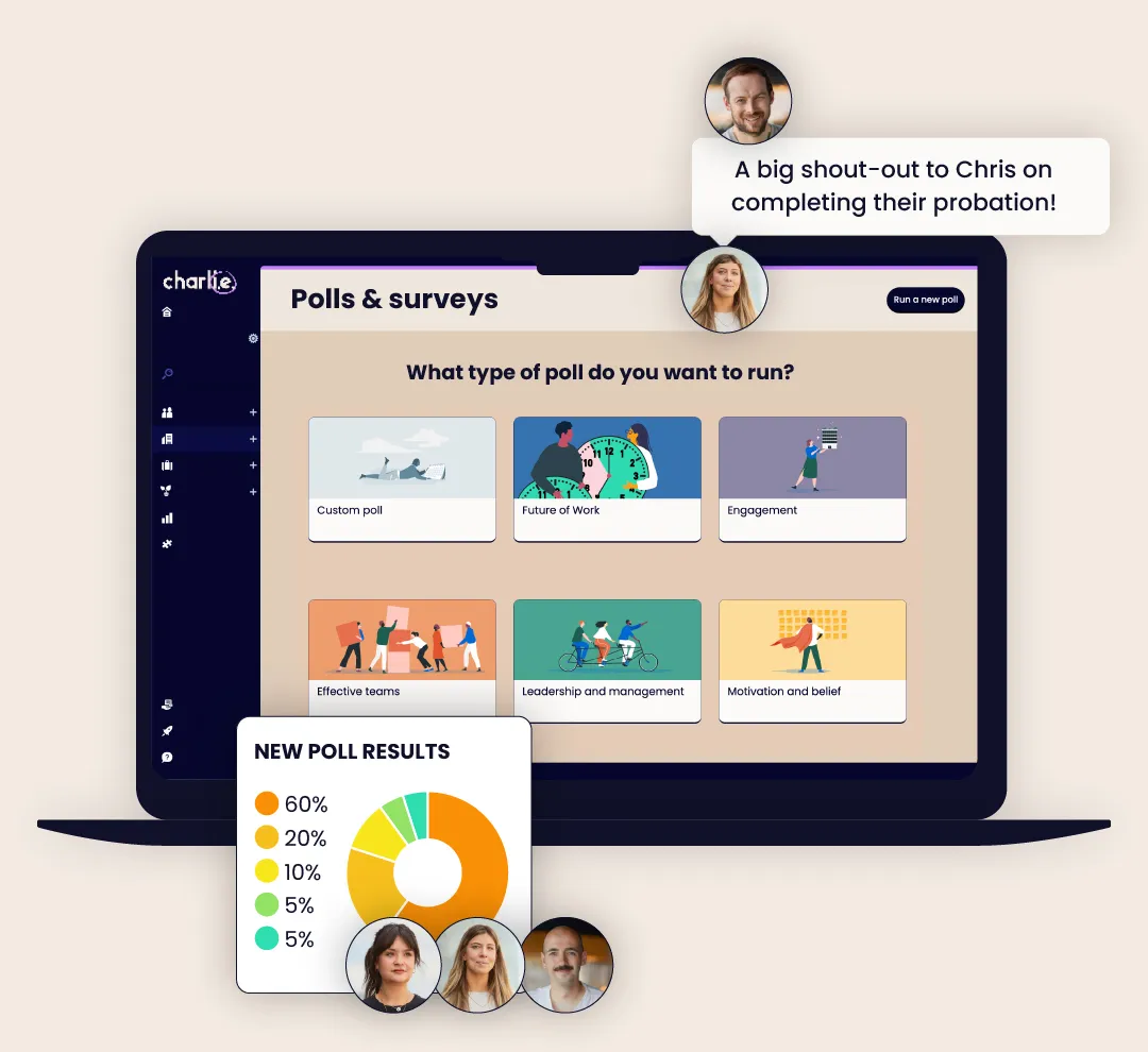 Charlie engagement polls dashboard