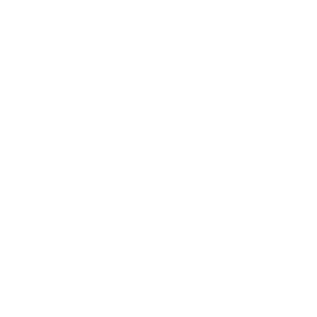 Close modal icon
