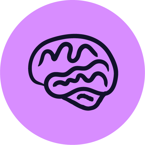 Brain