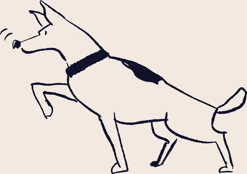 Dog 2