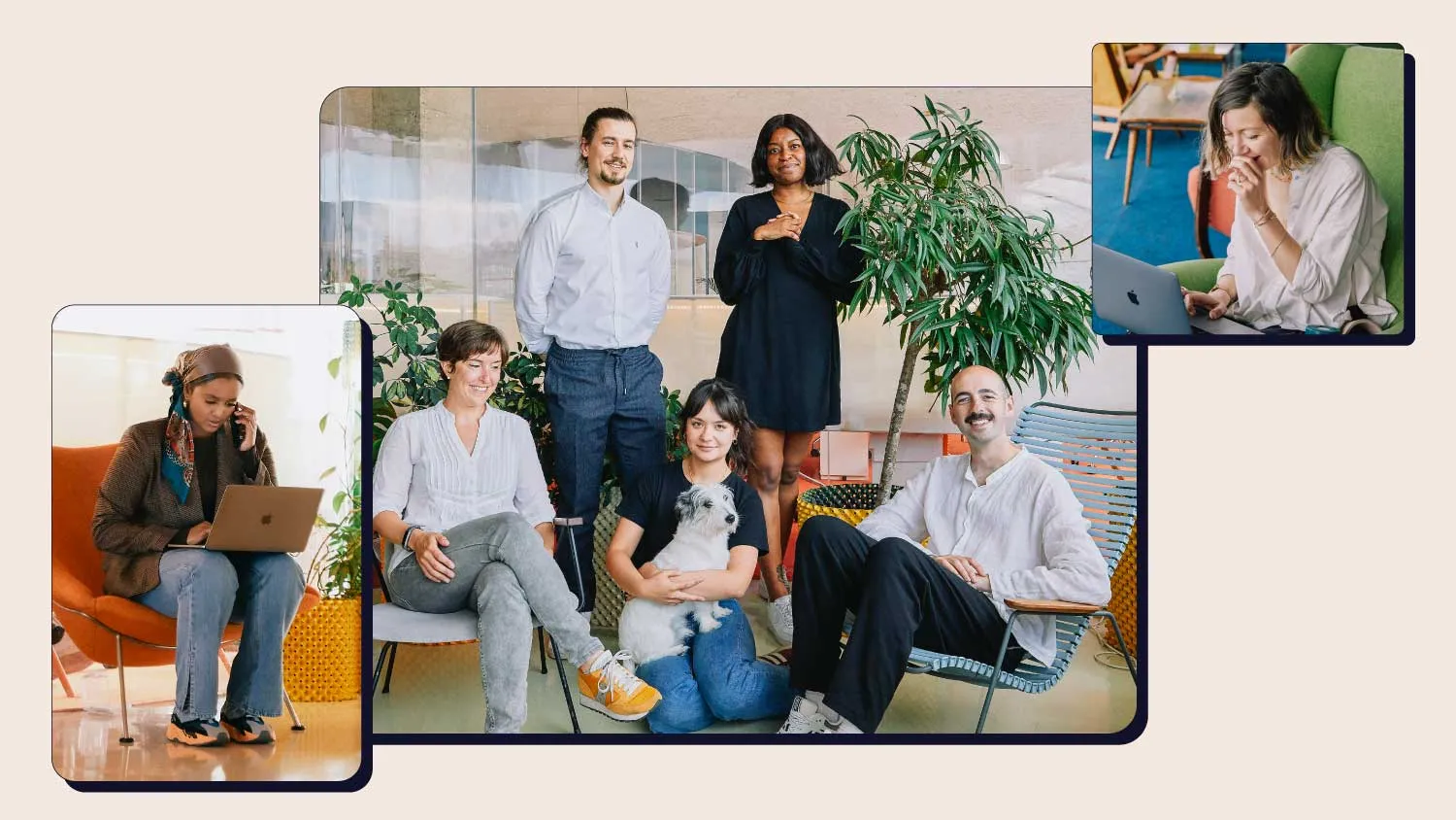 The charlie team