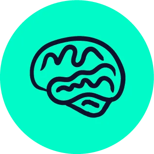 Brain