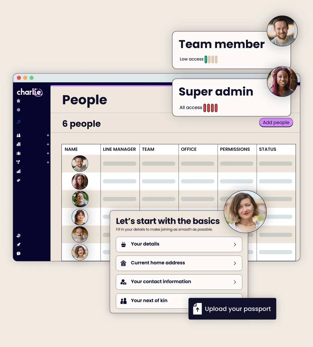 Team permission levels