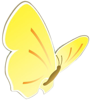 Biofino Schmetterling