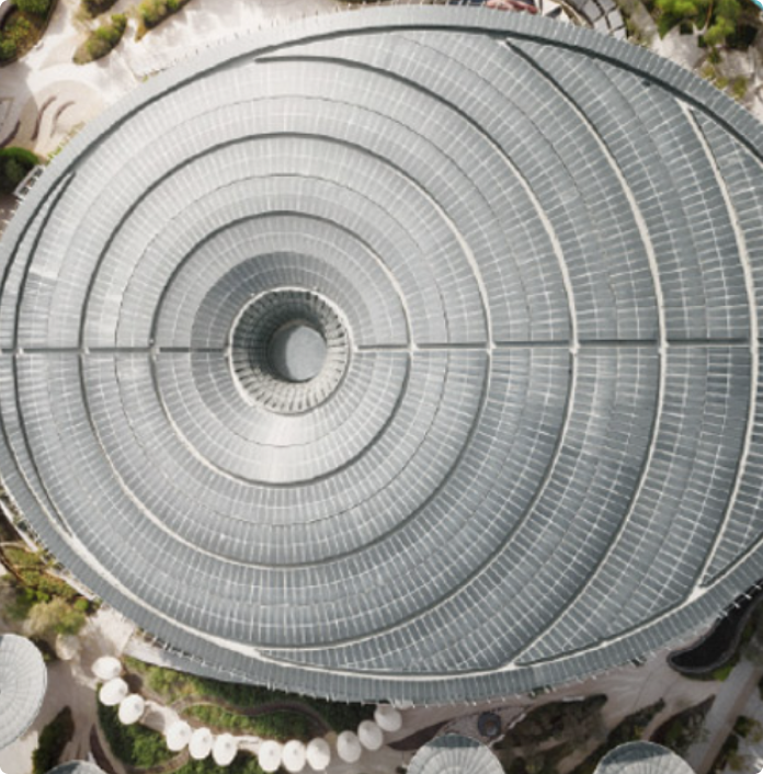 Strategy & Consulting