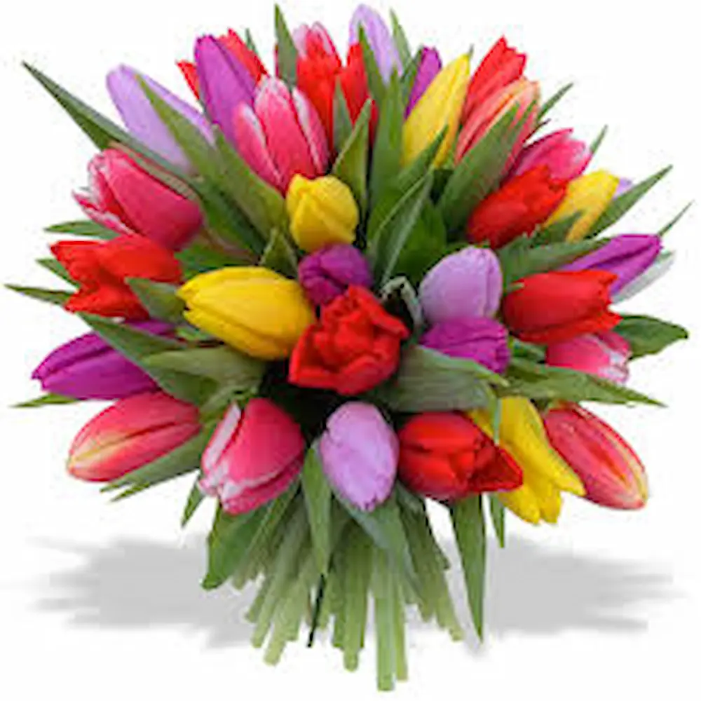 Bouquet de tulipes multicolores fraîches idéal pour offrir à Genève avec livraison de fleurs dans toute la Suisse