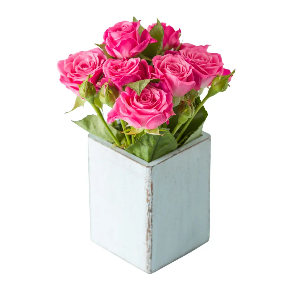 Composition de roses roses dans un cube blanc idéale pour offrir à Genève avec livraison de fleurs dans toute la Suisse