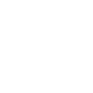 Hippo Rev — execution layer