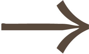 Dark brown arrow pointing to the right with curved lines above and below the main shaft.