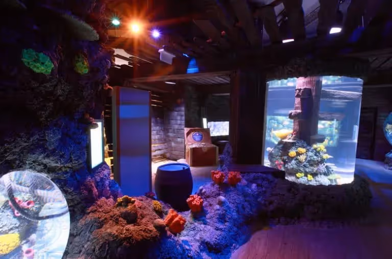 Immersive Sea Life aquarium exhibit,Hotel Experimental Infante Sagres in Porto.