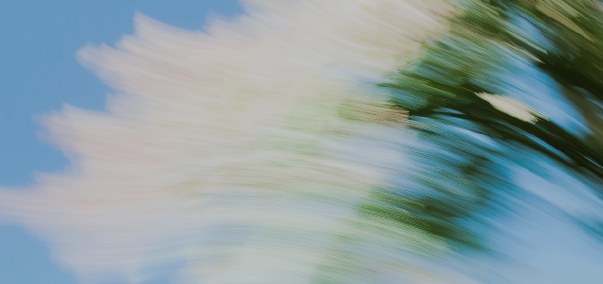 Saas Webflow Template - Sprawly - Designed by Azwedo.com and Wedoflow.com