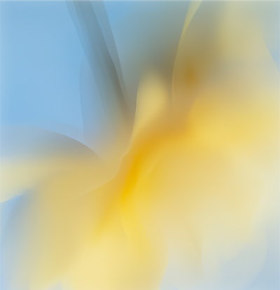 Saas Webflow Template - Sprawly - Designed by Azwedo.com and Wedoflow.com