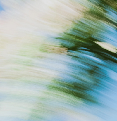 Saas Webflow Template - Sprawly - Designed by Azwedo.com and Wedoflow.com